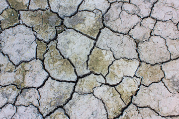 soil Cracked arid  pattern for background.