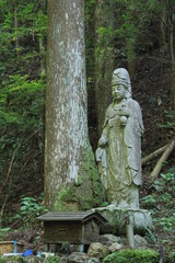 名水百選・観音水
