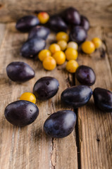 Freshly picked and washed plums