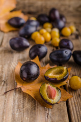Freshly picked and washed plums