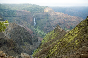 Obraz premium Waimea Falls, Kauai, Hawaii-4