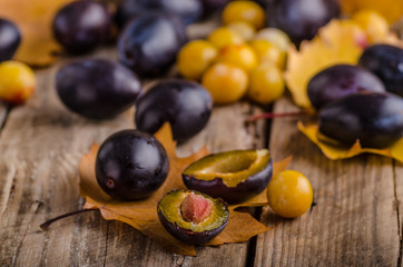 Freshly picked and washed plums