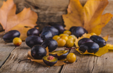 Freshly picked and washed plums
