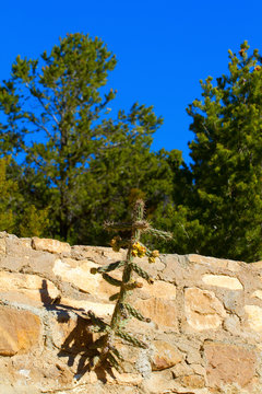 One tough cactus grows from a stone wall in Santa Fe, New Mexico