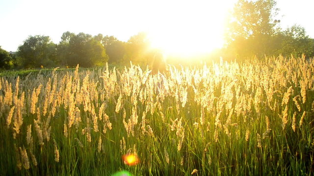 woman runs on the field during sunset