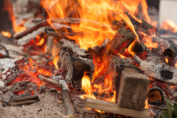Logs and branches burning in a wood fire