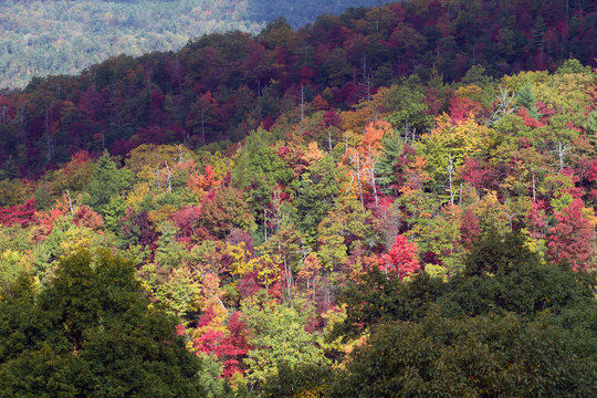 Great Smoky Mountains National Park in full autumn color