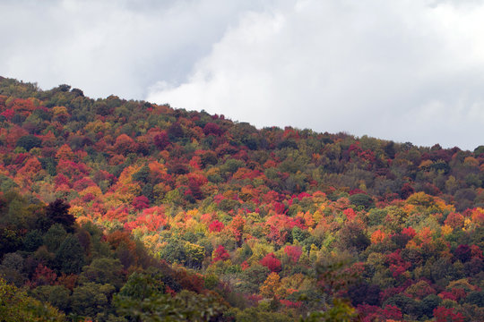 Great Smoky Mountains National Park in full autumn color