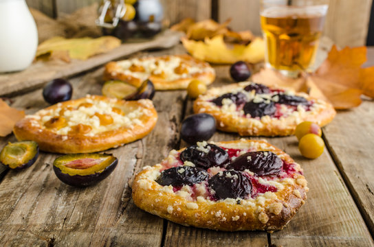 Traditional Czech cake with plums and prunes