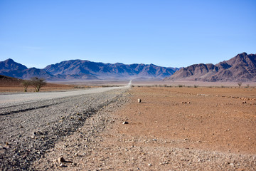 Desert Landscape - NamibRand, Namibia