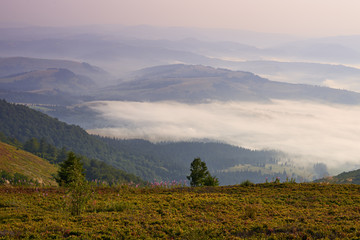 Morning in the Carpathians