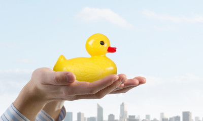 Duck in hand