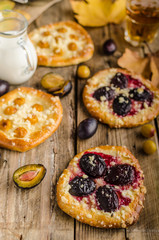 Traditional Czech cake with plums and prunes
