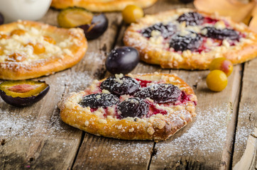 Traditional Czech cake with plums and prunes