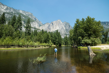 Man looking at idyllic view of Yosemite National Park valley during summer vacation on perfect day with clear blue sky surrounded by lush greenery and mountains