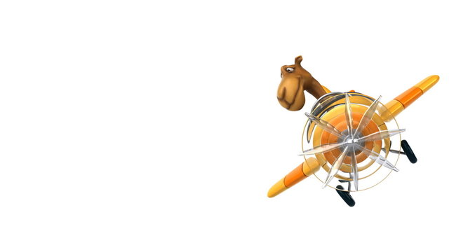 Fun camel