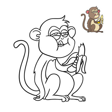 monkey eating a banana