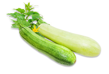 Zucchini and vegetable marrow on a light background