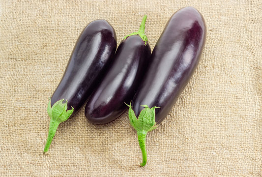 Three eggplant on a sackcloth