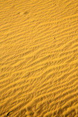 the brown sand dune in the sahara