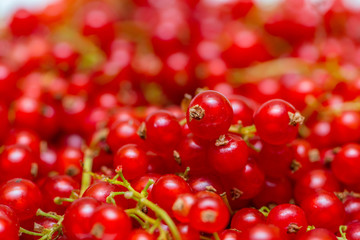Background made of red currant berries
