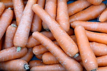 carrot background
