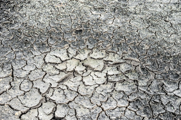 Fototapeta premium cracked clay ground