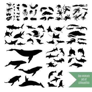 The big set of sea animals vector icons and silhouettes.