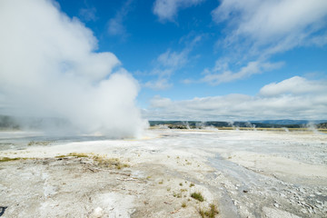 Colorful Thermal Pool and Geyser at yellowstone National Park, Wyoming, United States