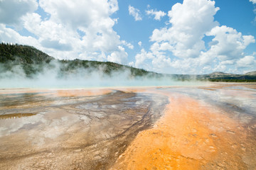 Grand Prismatic Spring at Yellowstone National Park, full of colorful Bacteria and thermophiles