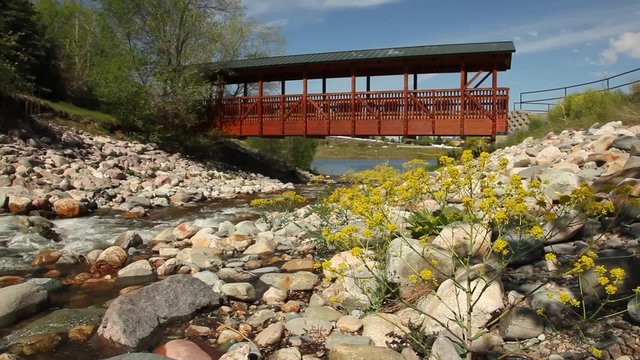 Bridge Over River and Flowers Pan Shot