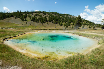 Colorful Thermal Pool and Geyser at yellowstone National Park, Wyoming, United States