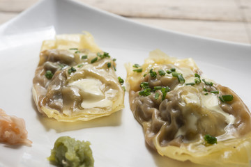 Won-ton rolls of pasta stuffed with chicken, mushrooms, onion, c