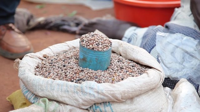 Dried Beans in Ugandan Market