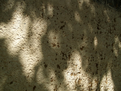 Wall of the  Church in Pereyaslavl