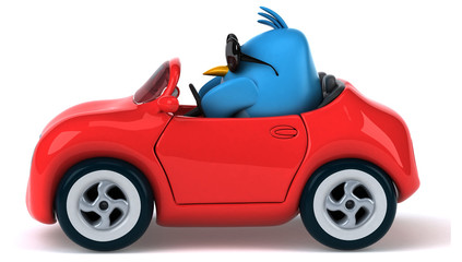 Obraz premium Blue bird