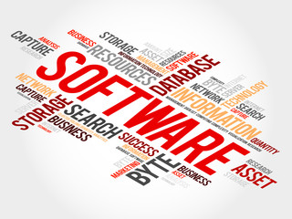 Software word cloud, business concept