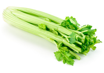 Celery isolated on white background