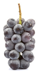 A bunch of black grapes over white background