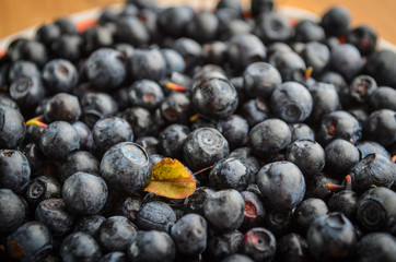 Fresh Berries. Blueberries background closeup