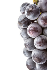 A bunch of black grapes over white background