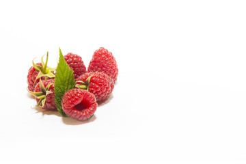 Raspberry on a white background