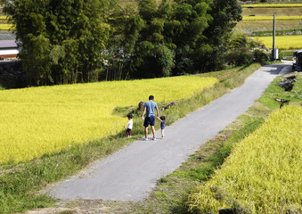 Fototapeta premium 田舎暮らしのイメージ