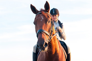 Obraz premium Teenage girl equestrian riding horseback. Vibrant summertime out