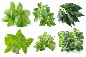 Photo sur Aluminium Herbes Spices collage