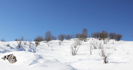 Winter landscape background