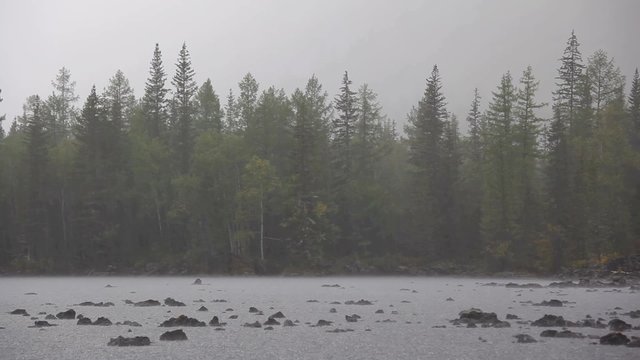 ливень