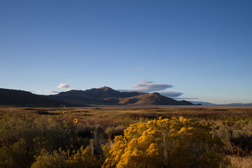 Fototapeta premium Dawn on the edge of Great Salt Lake, seen from Antelope Island State Park in Utah