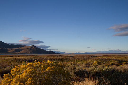 Shoreline of Great Salt Lake as seen from Antelope Island State Park in Utah