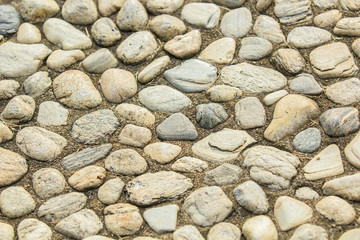 Closeup shot to some part of stone path.